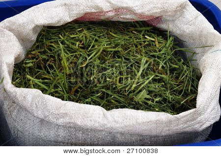 Compost.