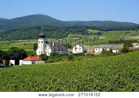 Village Of Thallern In Summer, Austria, Rural Settlement, Vineyards