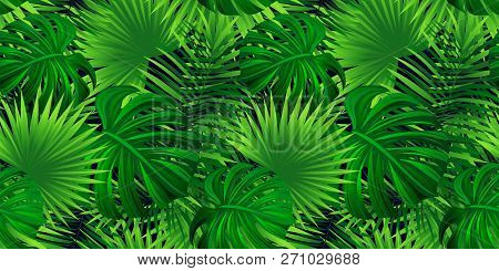 Rainforest Vector Background. Tropical Leaves Illustration. Vector Exotic Jungle Plants, Palms Wallp