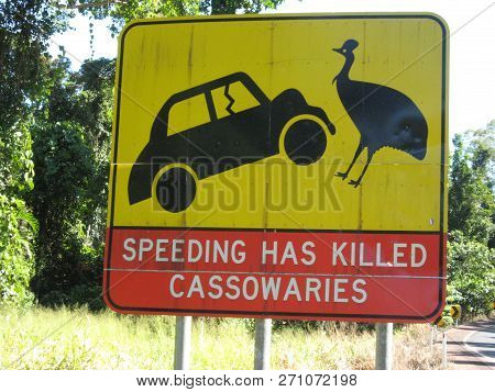 Funny And Original, Very Big Road Sign In Australia.