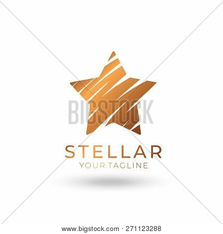 Star Logo Vector. Universal Abstract Logo With A Star Symbol For Any Business. Star Sign - A Leader,