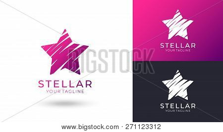 Star Logo Vector. Universal Abstract Logo With A Star Symbol For Any Business. Star Sign - A Leader,