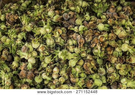Hazelnuts. Stack Of Hazelnuts. Food Background. Hazelnut Background