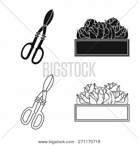 Vector Illustration Of Farm And Agriculture Icon. Set Of Farm And Plant Vector Icon For Stock.