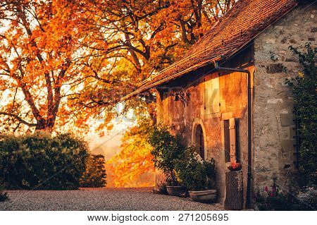 Fall Sunset, Magic Golden Light Over Old Small Cosy House