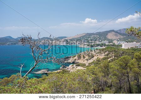 Peguera, Cala Fornells, Mallorca, Spain - July 24, 2013: View Of Peguera And Cala Fornells From The 