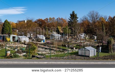 Typical Small Czech Garden Near A Big City For Small-scale Farming. They Are Called Osada Or Kolonie