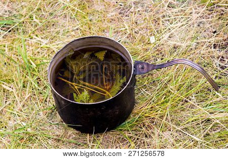 Sooty Old Metal Pot With Fragrant Healing Decoction Or Infusion Or Forest Tea From The Leaves Of Wil