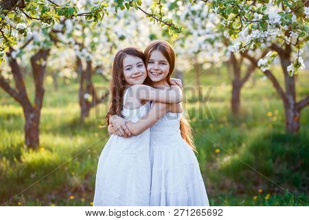 Beautiful Young Girls In White Dresses In The Garden With Apple Trees Blosoming At The Sunset. Two F