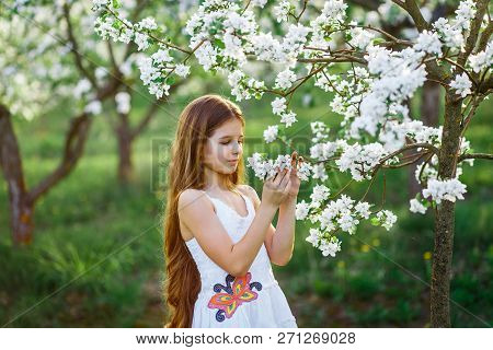 Portrait Of A Beautiful Young Girl With Blue Eyes In White Dress In The Garden With Apple Trees Blos