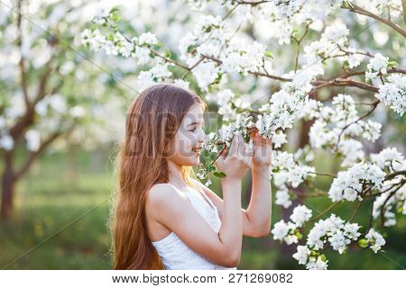 Portrait Of A Beautiful Young Girl With Blue Eyes In White Dress In The Garden With Apple Trees Blos