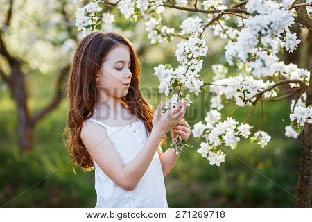 Portrait Of A Beautiful Young Girl With Blue Eyes In White Dress In The Garden With Apple Trees Blos