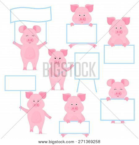 Pigs Hold A Blank Sign, Clean Poster, Empty Poster, Banner. Funny Piggy.