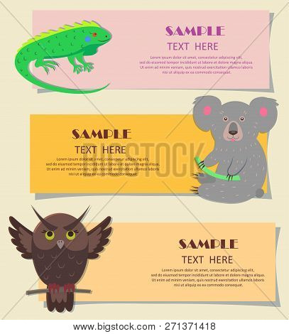 Vector Illustration Of Bright Green Iguana, Gray Koala And Brown Owl With Spread Wings. Concept Of T