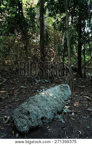 Lolits Village, Espiritu Santo Island / Vanuatu - Aug 10 2016 : Religious Holy Stone Artifact In The