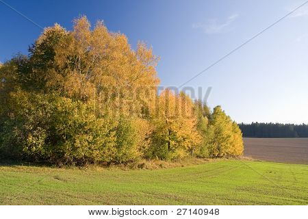 en smuk farverig efterår landskab