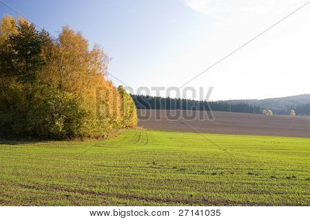 en smuk farverig efterår landskab