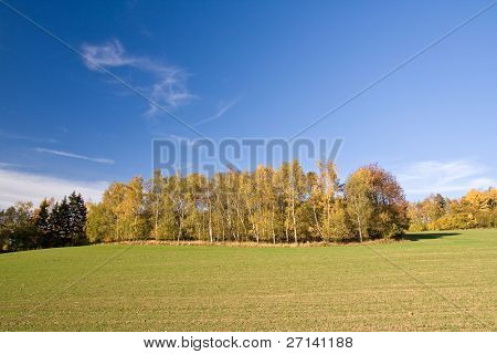 en smuk farverig efterår landskab