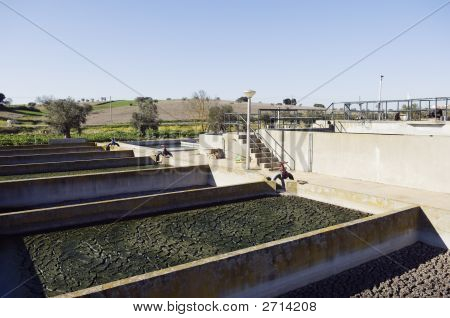 Ścieków sanitarnych roślin