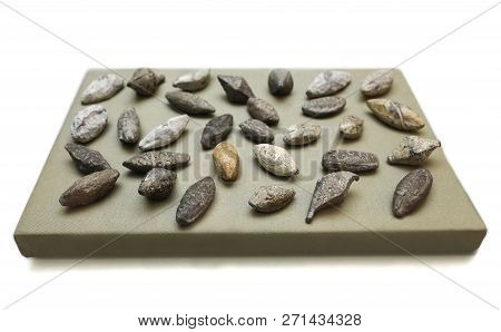 Seville, Spain - July 7th, 2018: Roman Almond Shaped Sling-bullets With The Name Of The Owning Comma