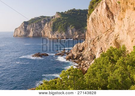 bella bearti selvaggio della Costa Brava, Spagna