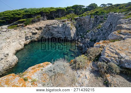 Puglia, Italy, The Rocks And The Pine Forest In Cala Tonda Of San Domino Island On A Sunny Day