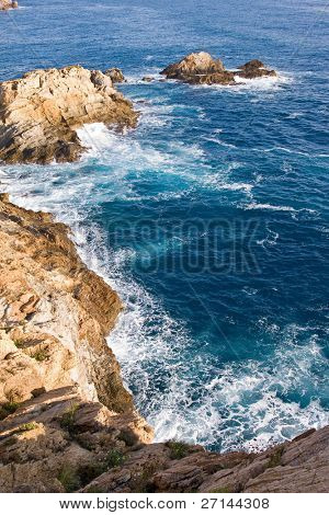 bella bearti selvaggio della Costa Brava, Spagna