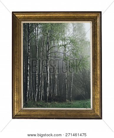 A Picture Of A Birch Grove In A Vintage Frame. Vintage Silver Rectangular Frame With An Ornament Iso