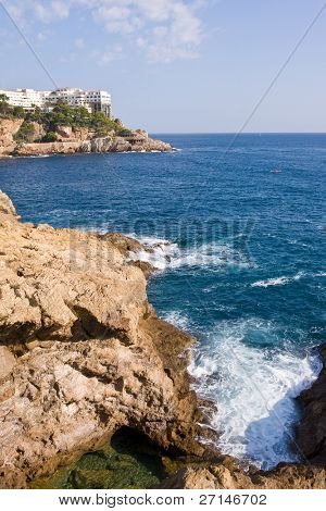 bella bearti selvaggio della Costa Brava, Spagna