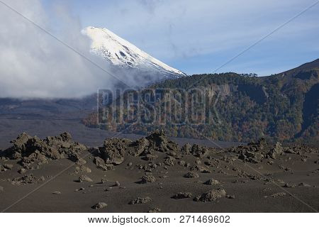 Snow Capped Peak Of Volcano Llaima (3125 Meters) Rising Above The Lava Fields And Forests Of Conguil