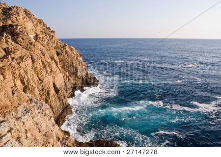 bella bearti selvaggio della Costa Brava, Spagna