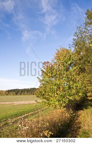 en smuk farverig efterår landskab