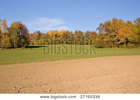 en smuk farverig efterår landskab