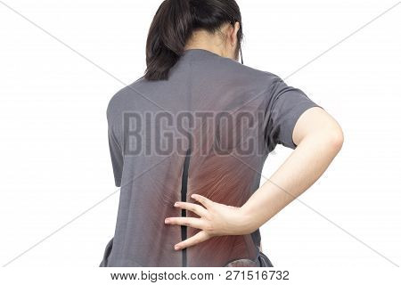 Spine Muscle Injury White Background Spine Pain