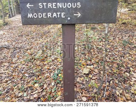 Wooden Strenuous Or Moderate Sign On Trail With Fallen Leaves