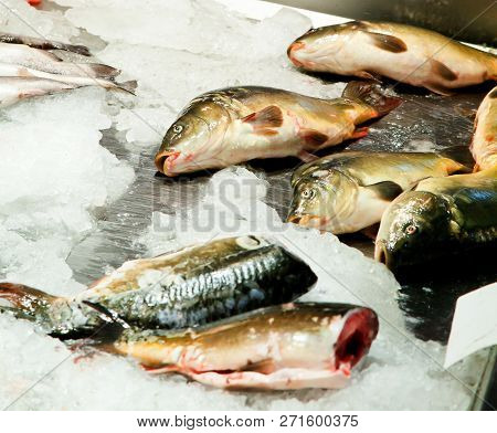 Fish Market, Fresh Fish In Street Market, Fresh Fish, Social Issue, Fish Market Street Market