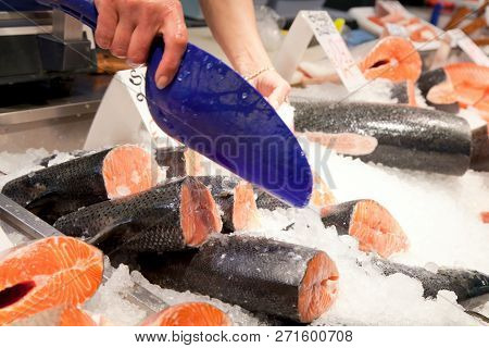 Fish Market, Fresh Fish In Street Market, Fresh Fish, Social Issue, Fish Market Street Market