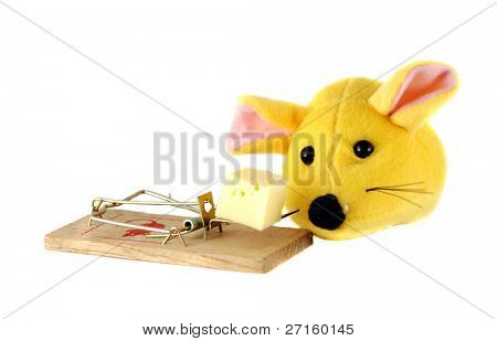 Mousetrap ชีส