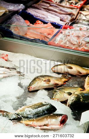 Fish Market, Fresh Fish In Street Market, Fresh Fish, Social Issue, Fish Market Street Market