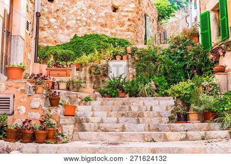 Potted Plants In The Old Village Of Banyalbufar On Majorca, Spain Balearic Islands