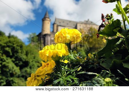 Panoramic View Of Vianden Castle With Yellow Flowers In The Foreground, Vianden, Luxembourg.