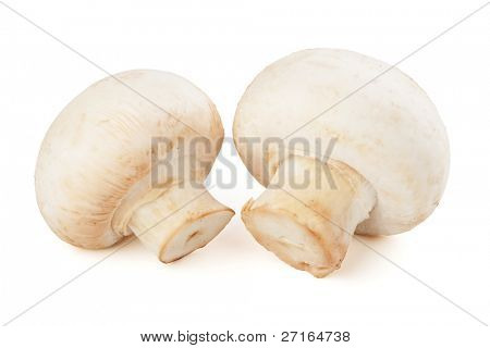 due champignon isolata on white background
