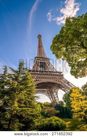 Eiffel Tower Among The Trees. Mysterious Architecture.