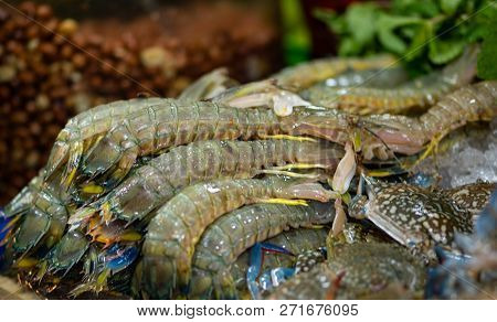 Fresh Mantis Shrimp Thai Street Food Display Stomatopods Background