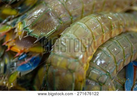 Fresh Mantis Shrimp Thai Street Food Display Stomatopods Background