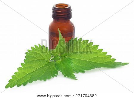 Nettle Leaves With Extract In A Bottle Over White Background