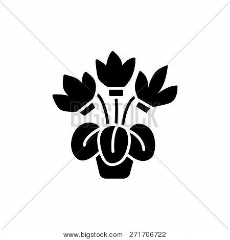 Black & White Vector Illustration Of Cyclamen With Flowers & Leaves In Pot. Flat Icon Of Decorative 