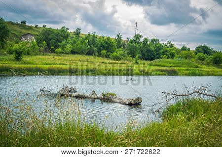 Summer Landscape With Forest And River, Dry Log - Cut Tree Trunk In A Water, Green Trees, Grass, Bul