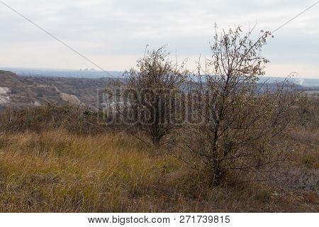 The Last Days In The Tavrian Steppe