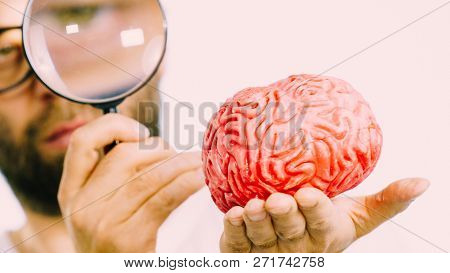 Adult Nerd Man Wearing Eyeglasses Looking At Human Brain Model. Thinking And Intelligence Conept